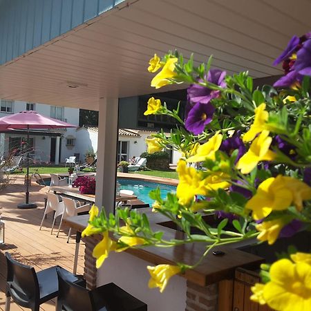 Banus Lodge Марбелья Экстерьер фото
