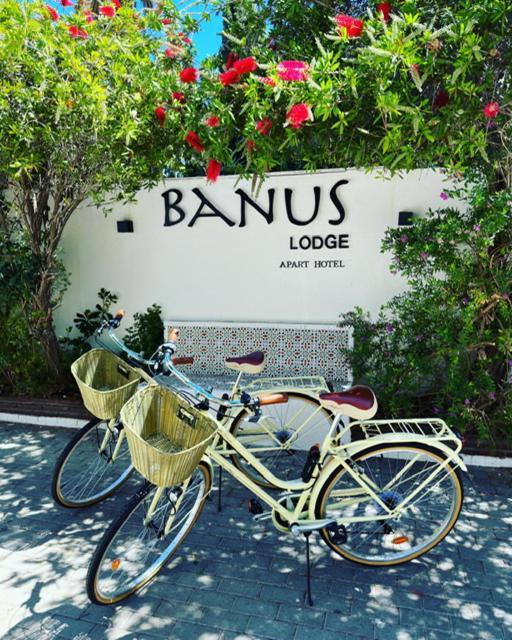 Banus Lodge Марбелья Экстерьер фото
