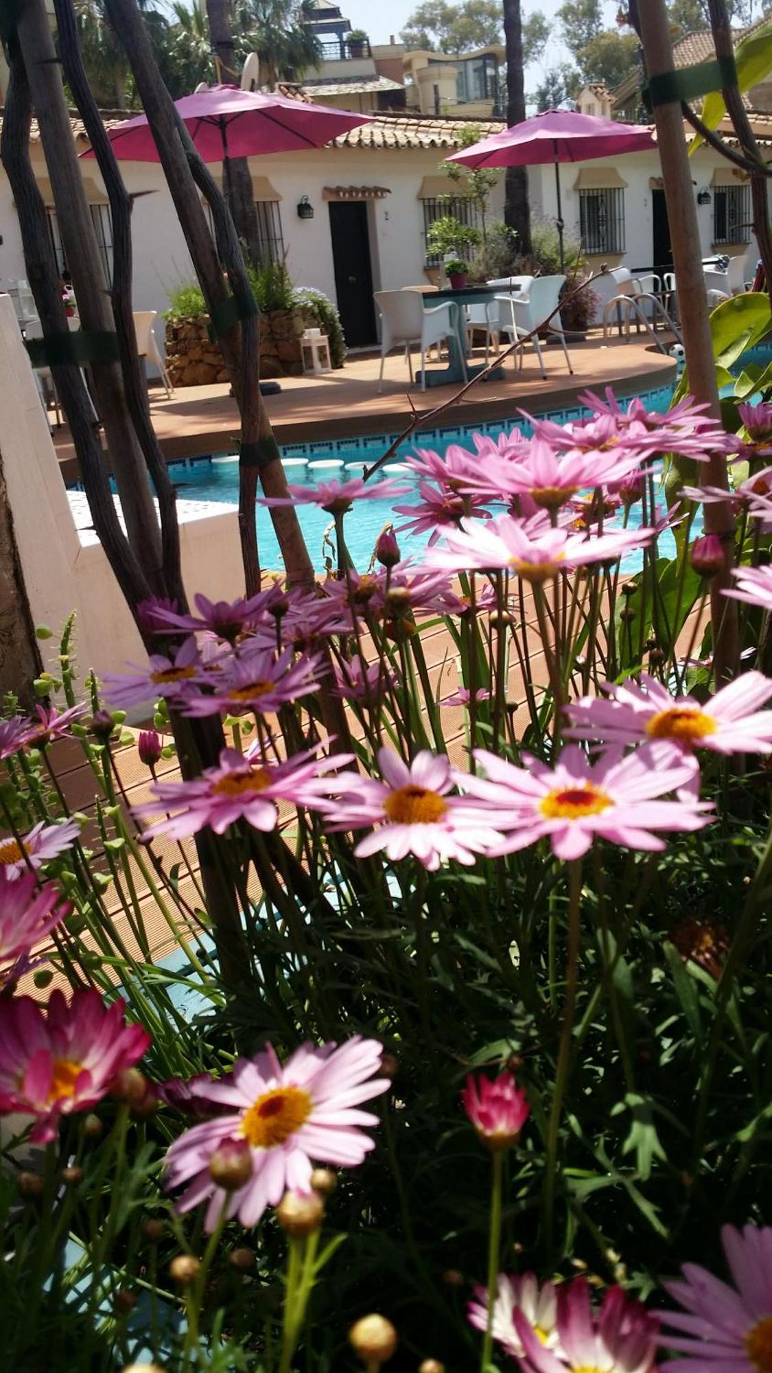 Banus Lodge Марбелья Экстерьер фото