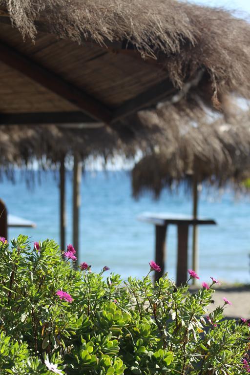 Banus Lodge Марбелья Экстерьер фото