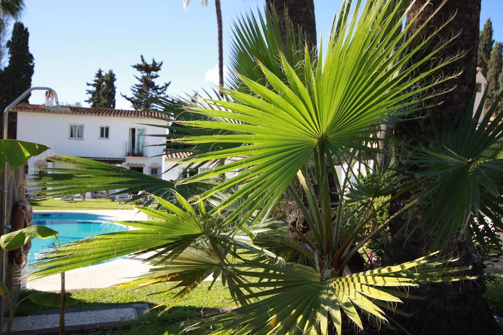 Banus Lodge Марбелья Экстерьер фото