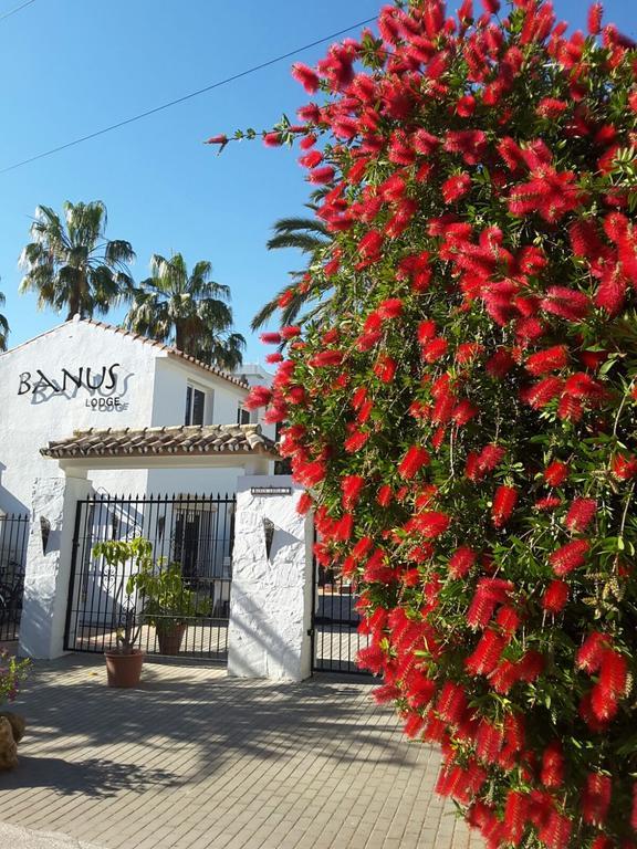 Banus Lodge Марбелья Экстерьер фото