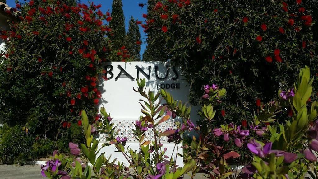 Banus Lodge Марбелья Экстерьер фото
