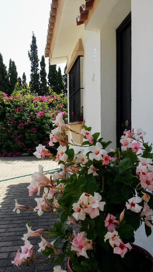 Banus Lodge Марбелья Экстерьер фото